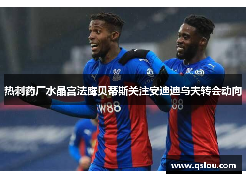 热刺药厂水晶宫法鹰贝蒂斯关注安迪迪乌夫转会动向