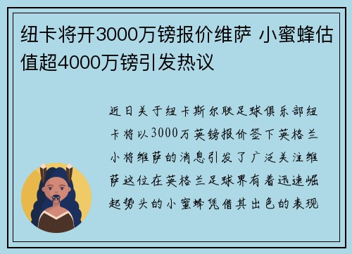纽卡将开3000万镑报价维萨 小蜜蜂估值超4000万镑引发热议