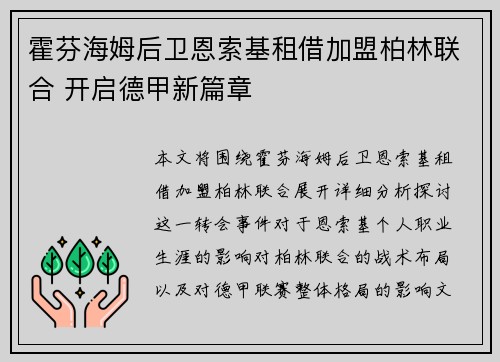 霍芬海姆后卫恩索基租借加盟柏林联合 开启德甲新篇章