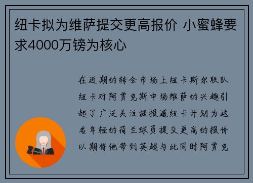 纽卡拟为维萨提交更高报价 小蜜蜂要求4000万镑为核心